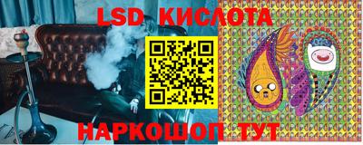 гашик Кандалакша