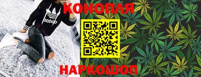гашик Кандалакша