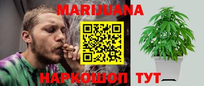 гашик Кандалакша