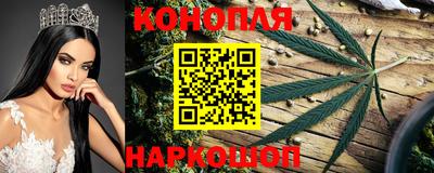гашик Кандалакша