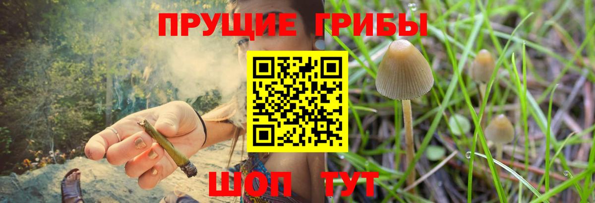 Галлюциногенные грибы прущие грибы Каменск-Шахтинский