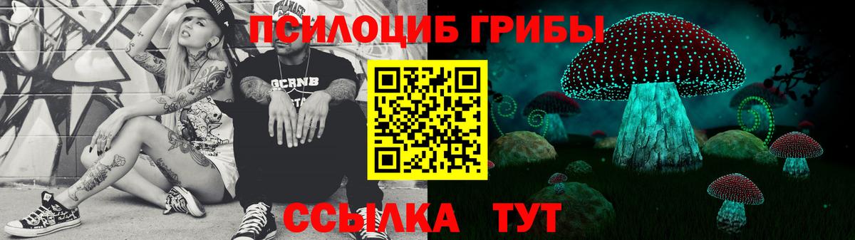 Псилоцибиновые грибы прущие грибы  Вход с VPN  Каменск-Шахтинский 